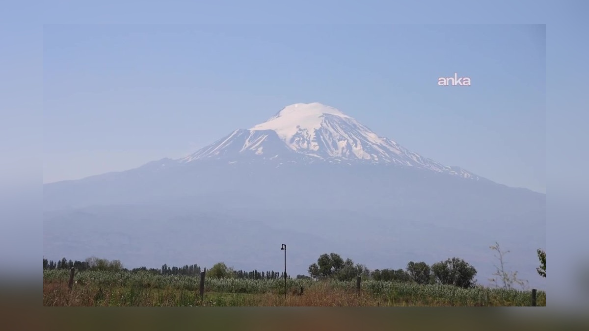 Iğdır'da erken karpuz hasadı başladı: 100 dönümde 600 ton ürün