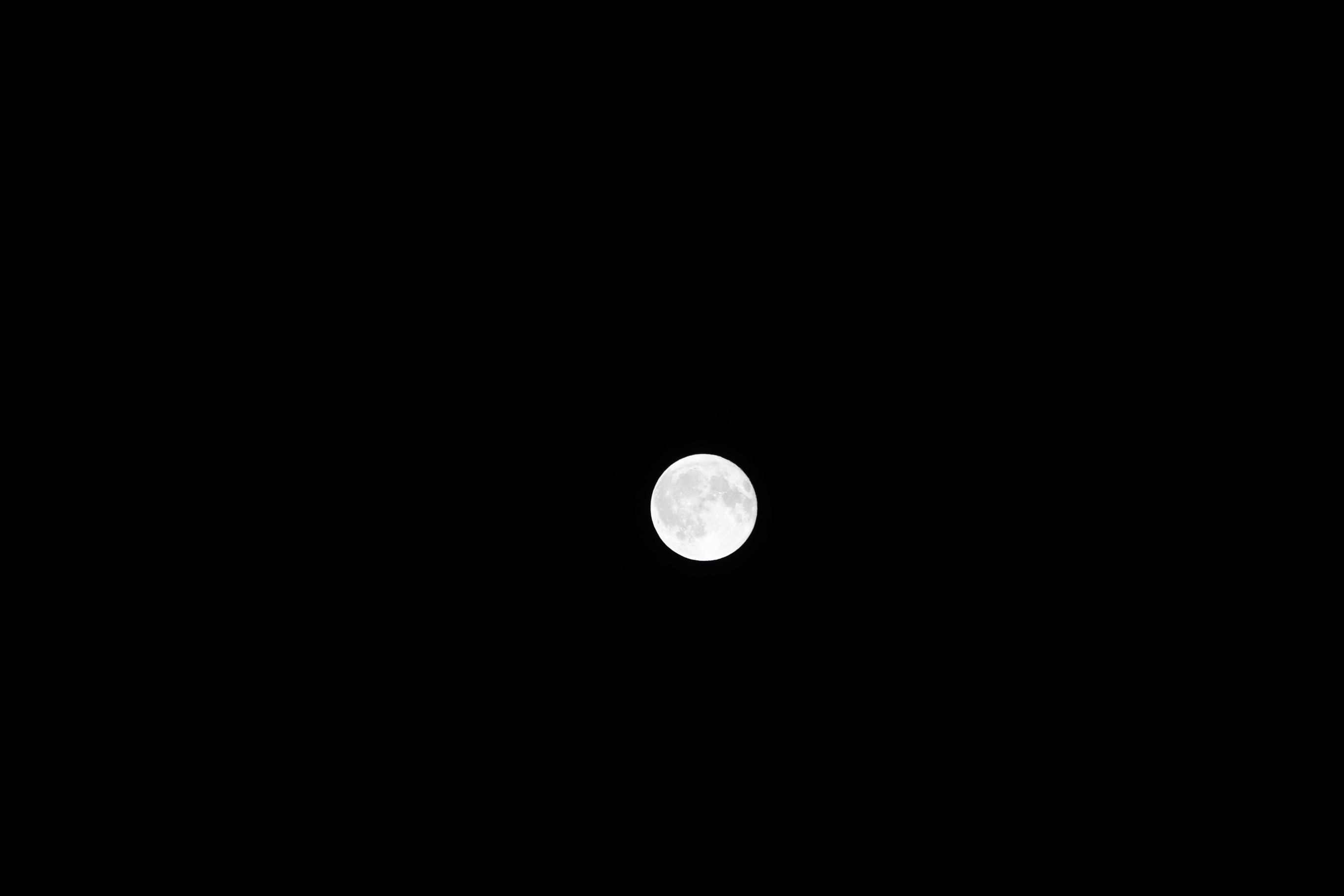 a-w514530-05.jpg