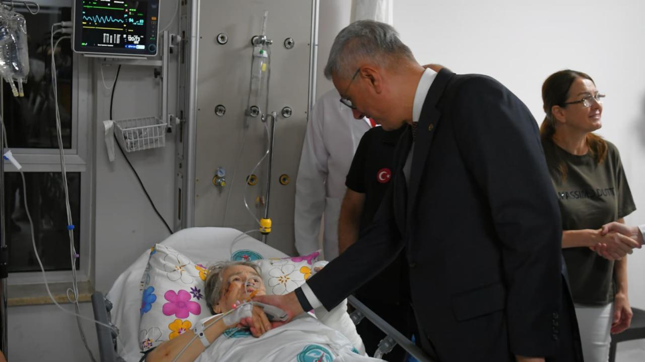 memisoglu-aa-2387622.jpg