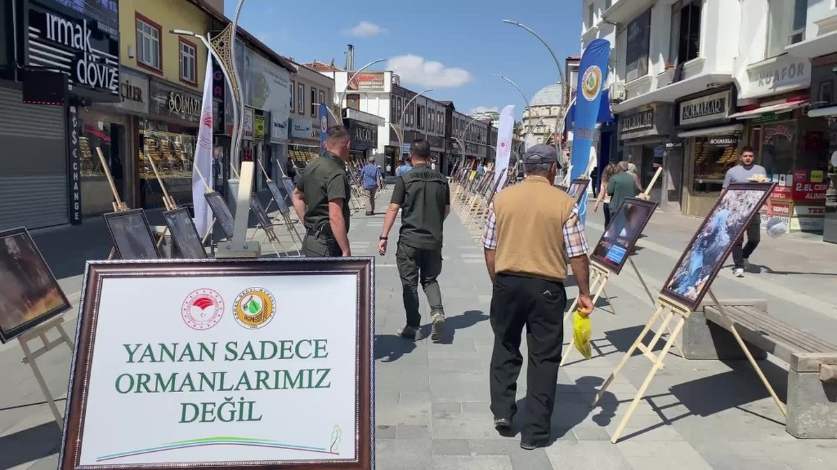 Yozgat'ta orman yangını fotoğraf sergisi: 'Yanan sadece ağaçlarımız değil'