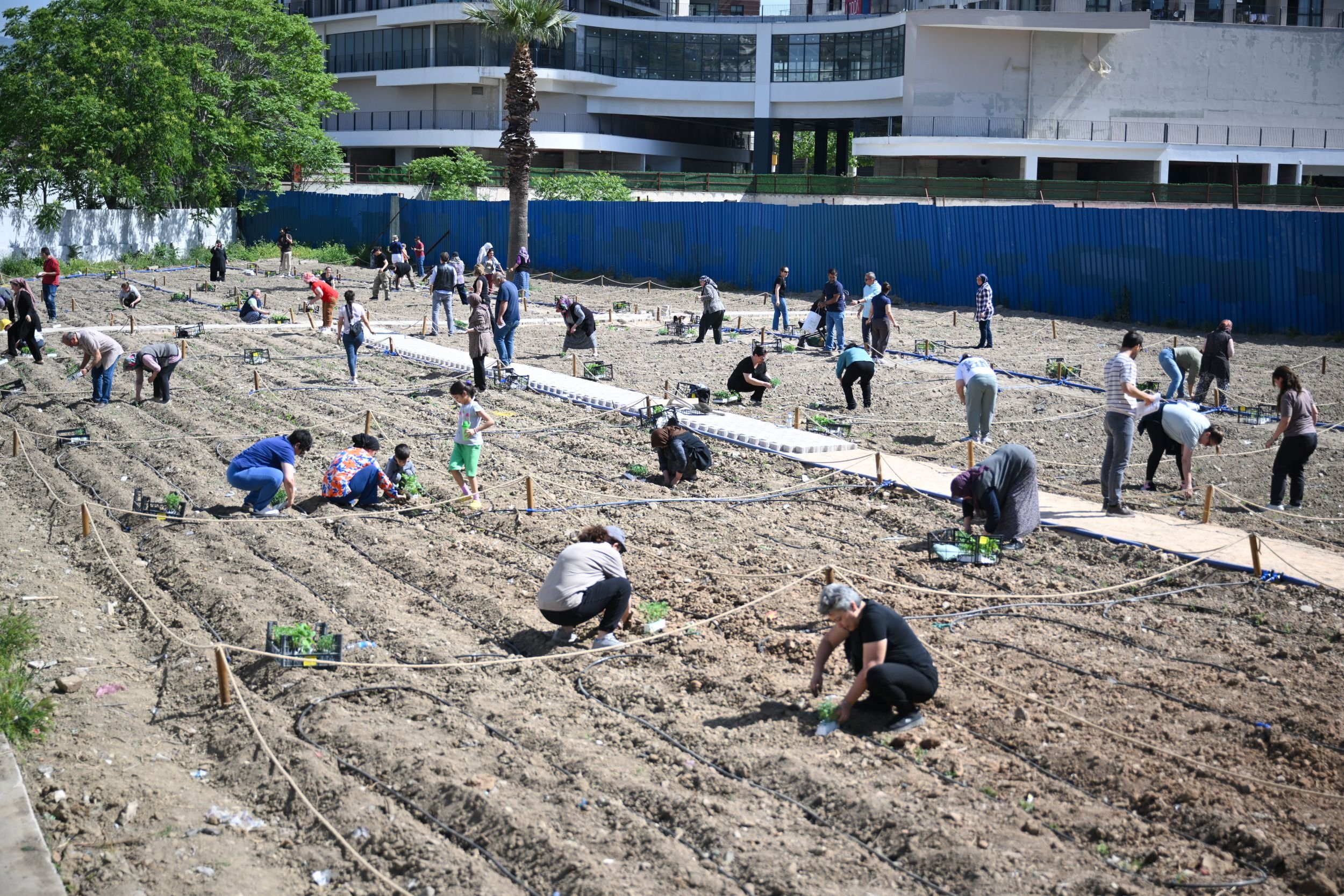 Kent Bostanları (8)
