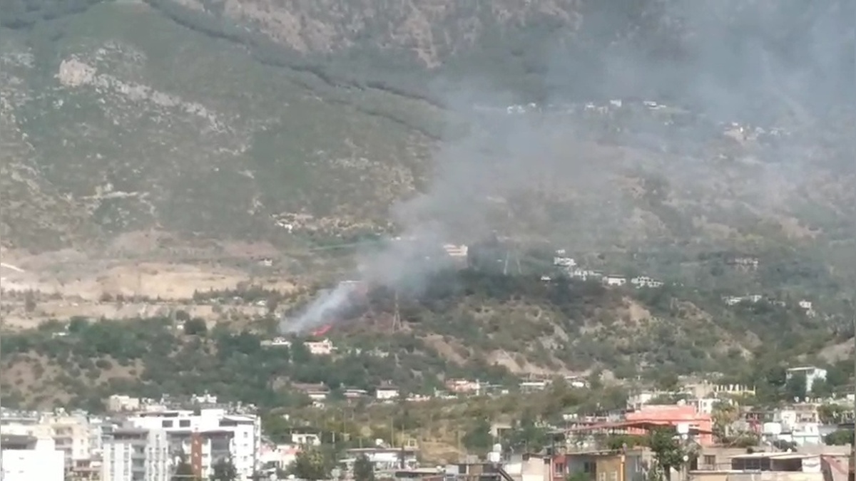 İskenderun'da orman yangını