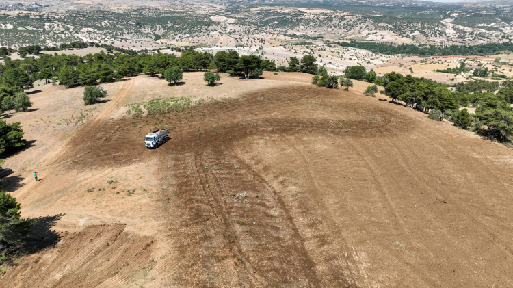 dji-0026-1752156383-569-x750.jpeg