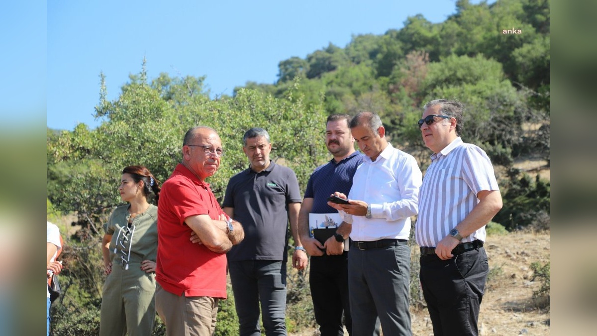 Turgutlu'da sahipsiz hayvanlar için 'Doğal Yaşam Alanı' projesi başlıyor