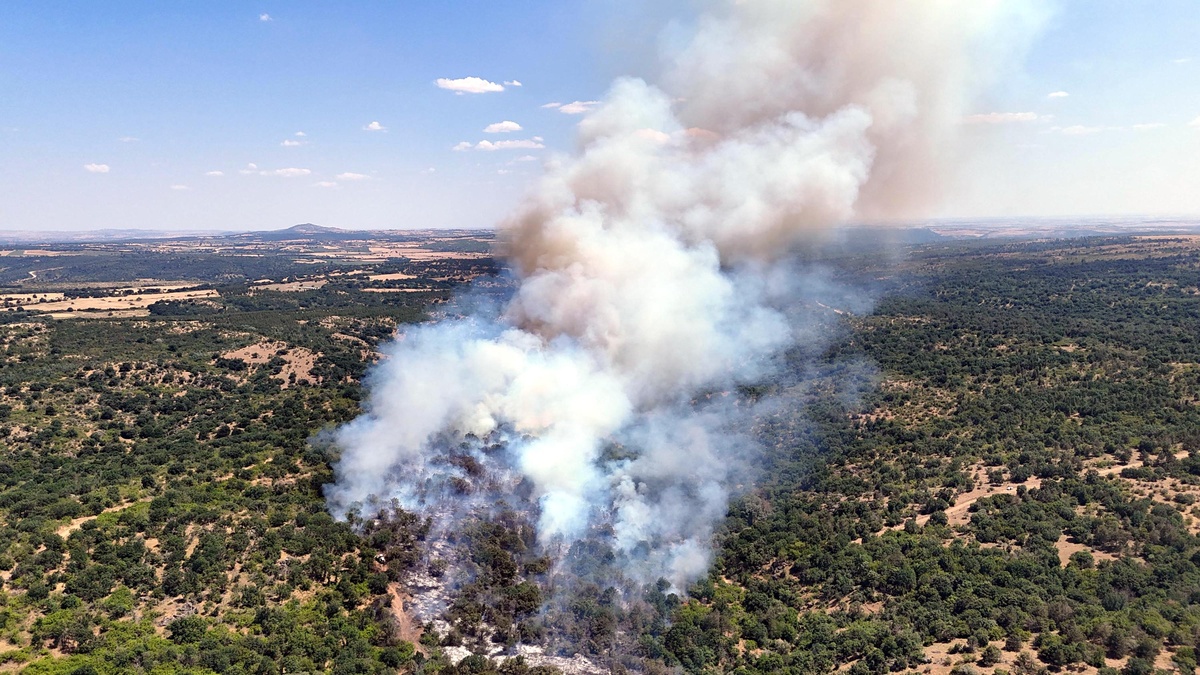 Ömeroba köyünde orman yangını: Havadan ve karadan müdahale sürüyor