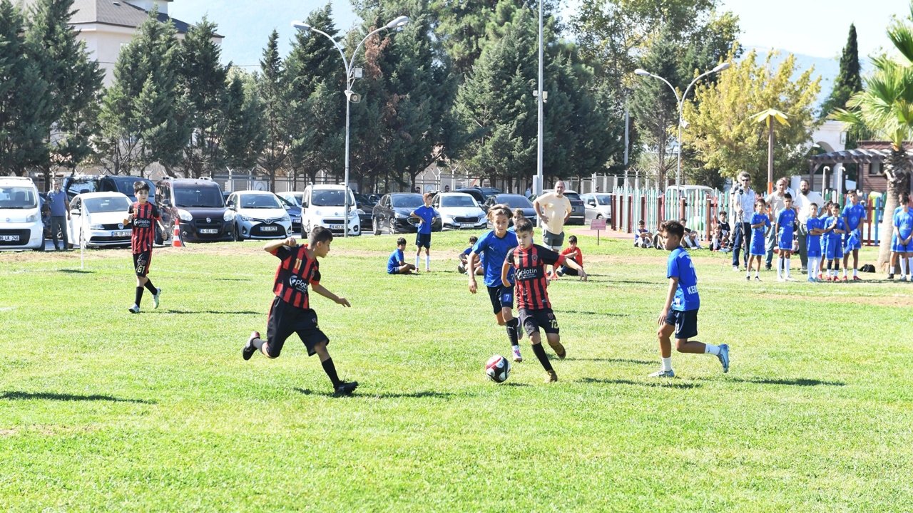 8-33
