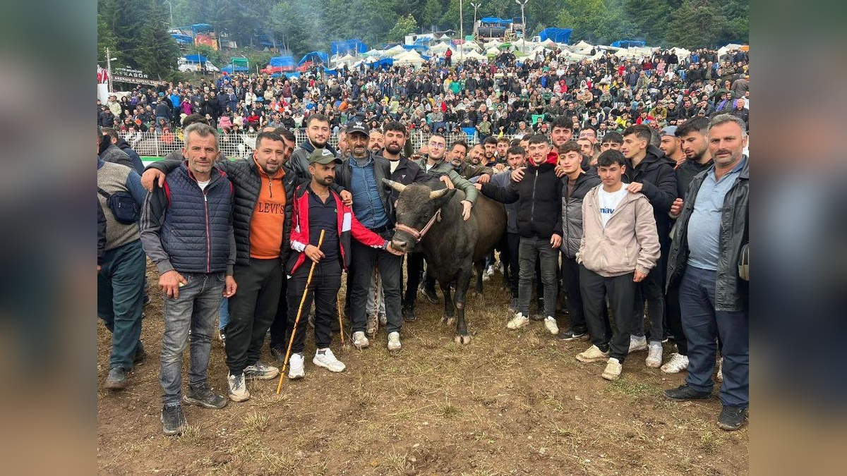 Artvin'de Kafkasör Festivali boğa güreşleriyle devam ediyor