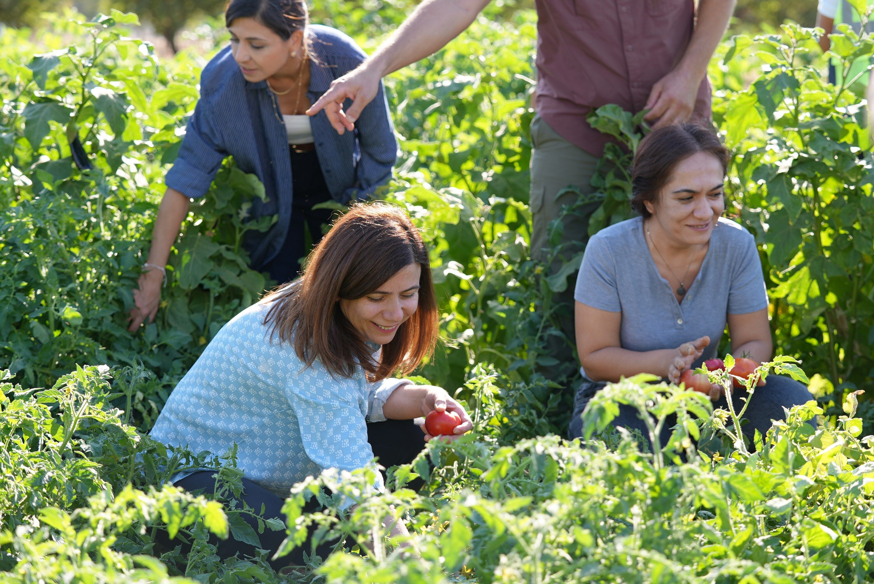 G0Eoy4 S X E A Ae C0L