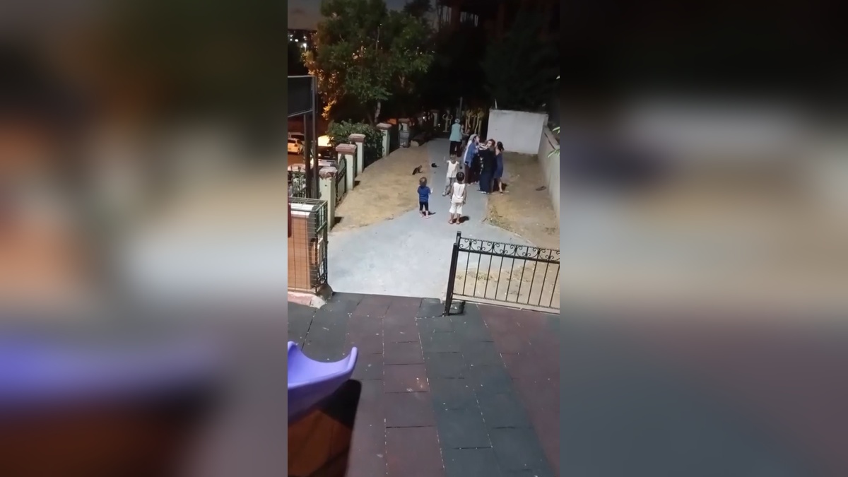Kağıthane'de parkta anneler arasında kavga: 'Abla sakin olun'