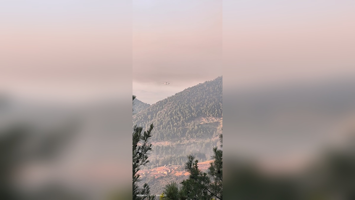 Hatay'ın Hassa ilçesinde orman yangını sürüyor