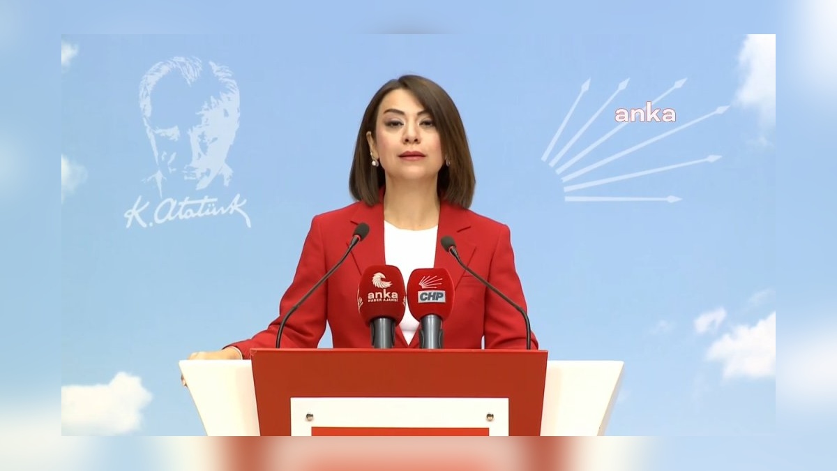 CHP'den Altaylı tutuklamasına tepki: 'Tayyip Ceza Kanunu'na göre suç uyduruldu