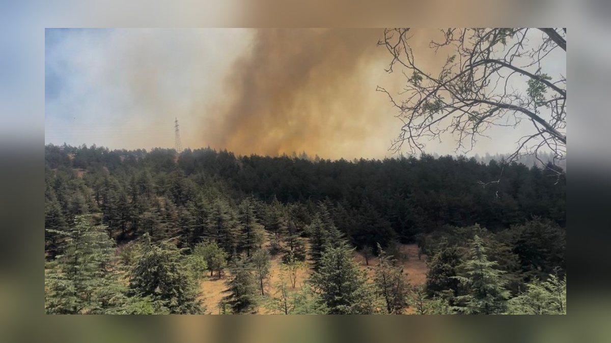 Ankara'nın Gölbaşı ilçesinde Eymir Gölü çevresinde orman yangını