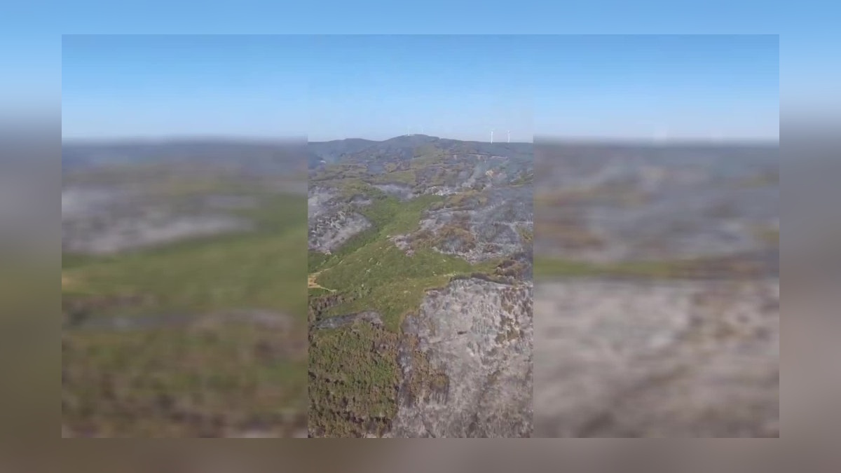 Tekirdağ Şarköy'de orman yangını kontrol altında