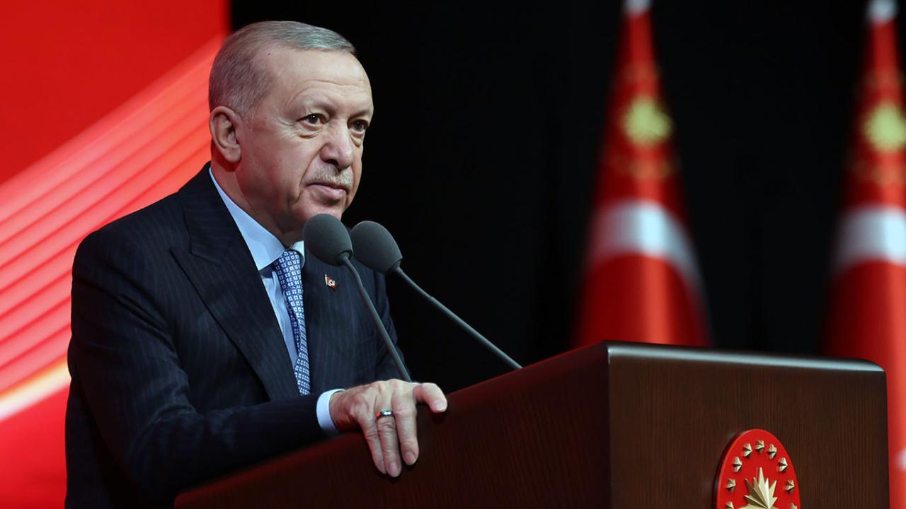 erdogan-2307075.jpg