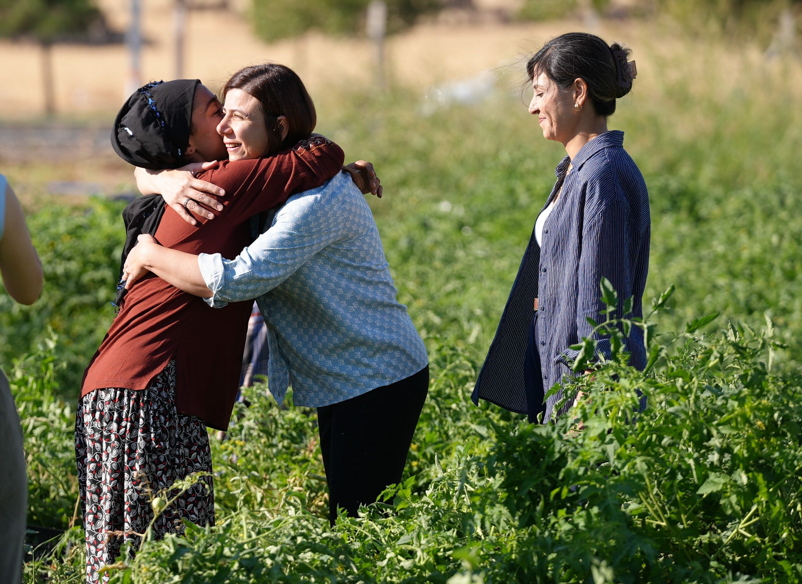 G0Ep En Y W I A Af P Y