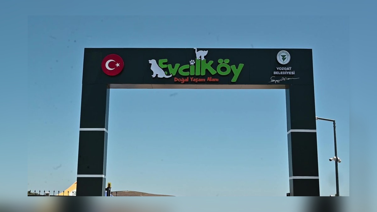 Yozgat'ta Evcil Köy Projesi: Minikler fidan dikti, hayvanları sevdi