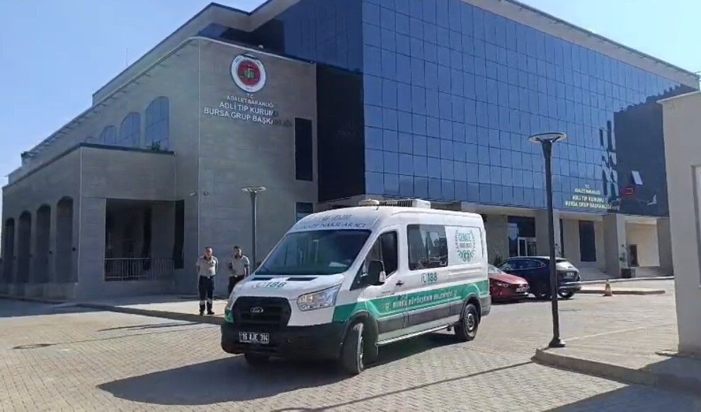 Hy-1