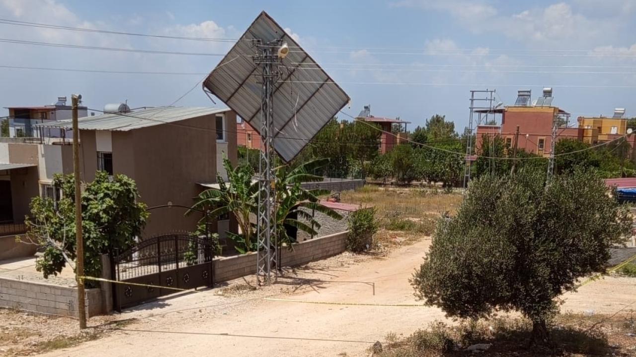 cati-ucmasi-2371533.jpg