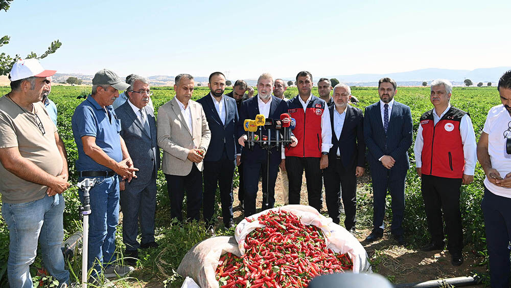 Maraş Biberi Hasadı (3)