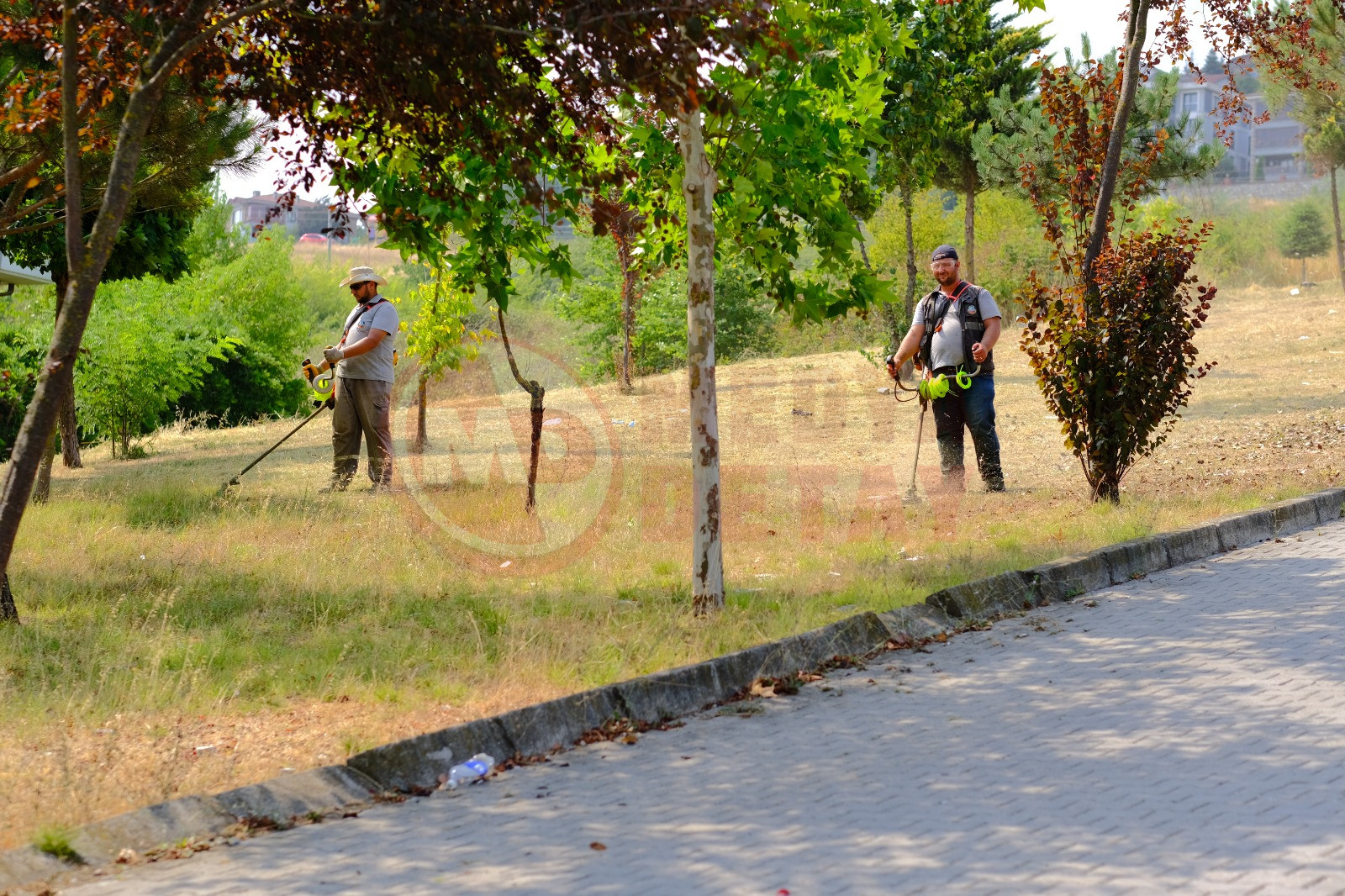 Serdi̇van (2)-20