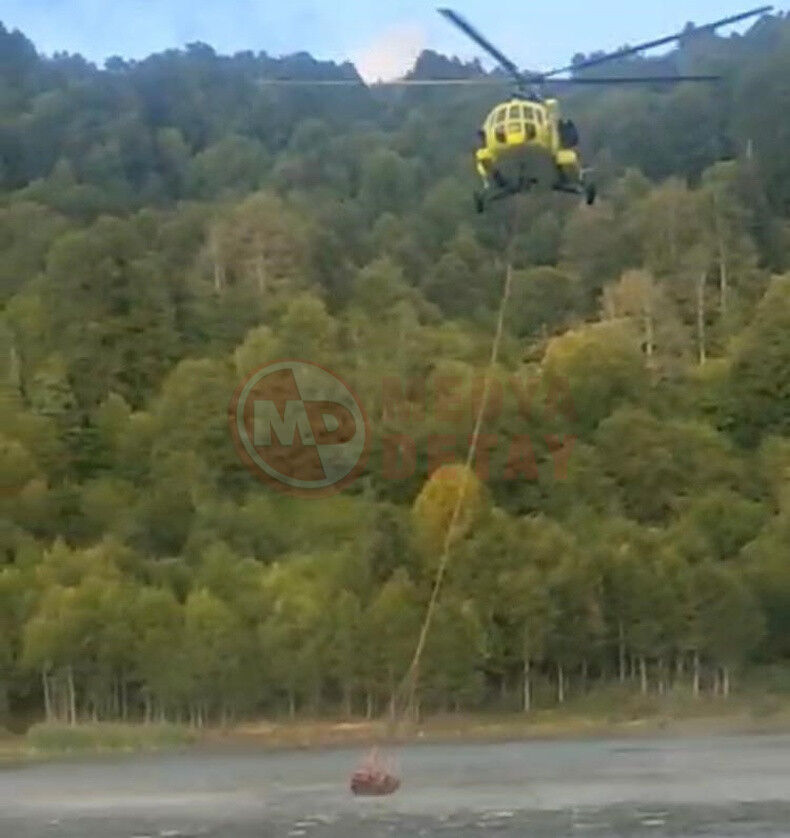 Sakarya Orman Yangini (3)-1