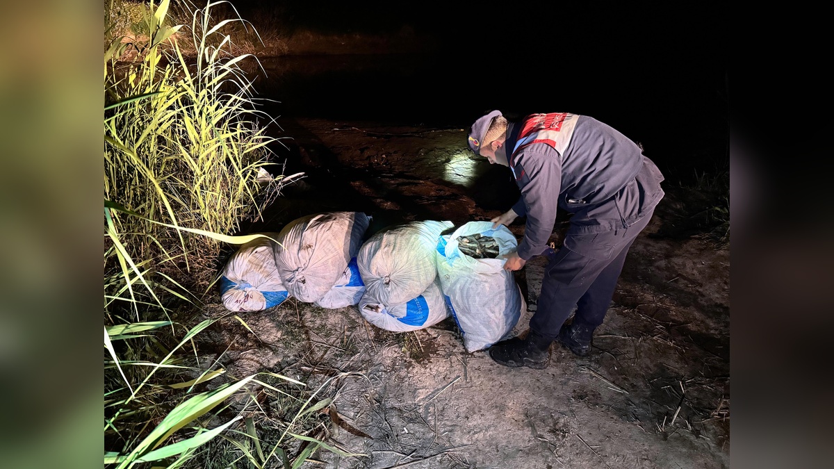 Van'da 1 ton 970 kilogram kaçak inci kefali ele geçirildi
