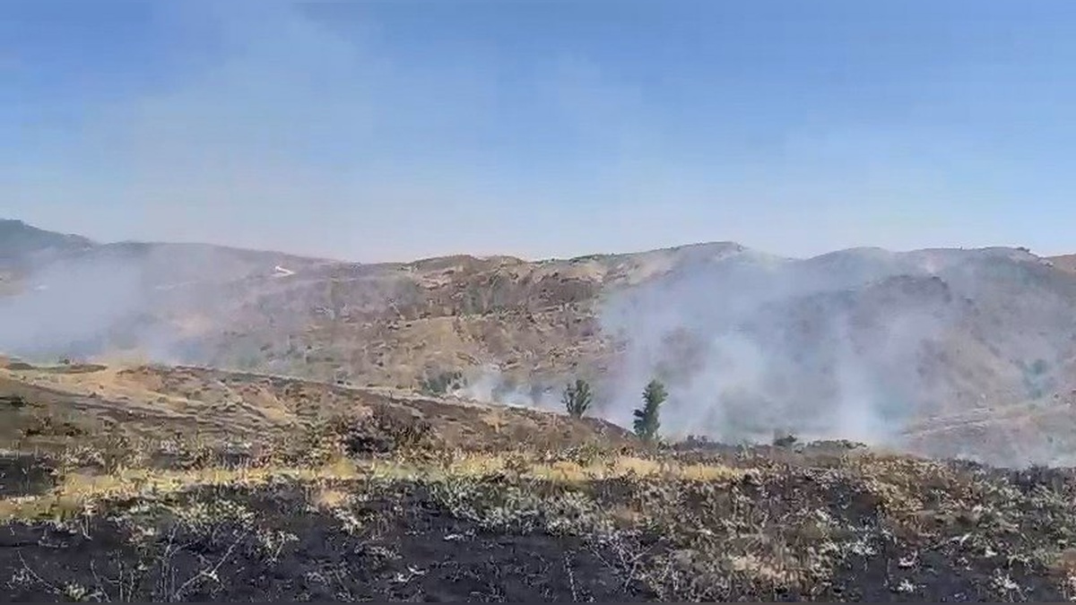 Bingöl'ün Genç ilçesinde örtü yangını