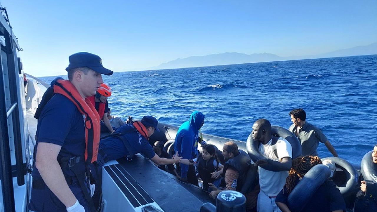 goc-2394718.jpg