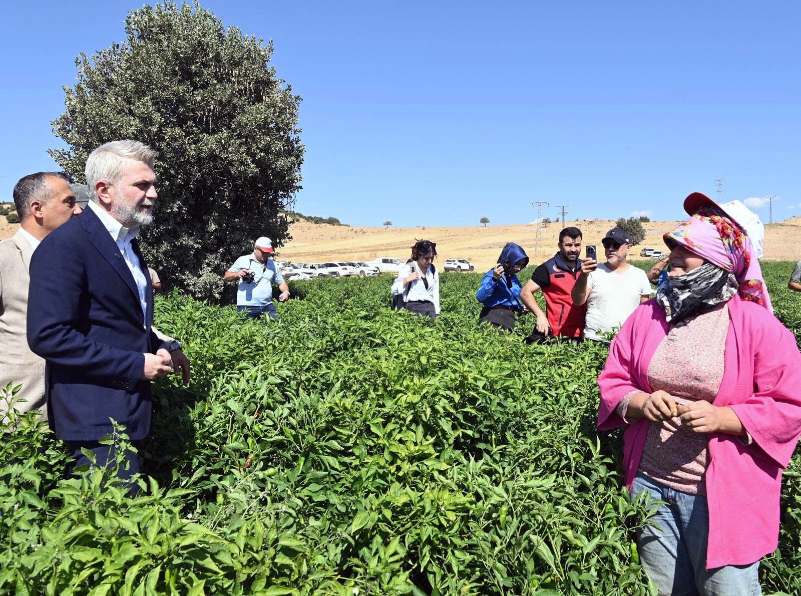 Maras Biberi Hasadi 7