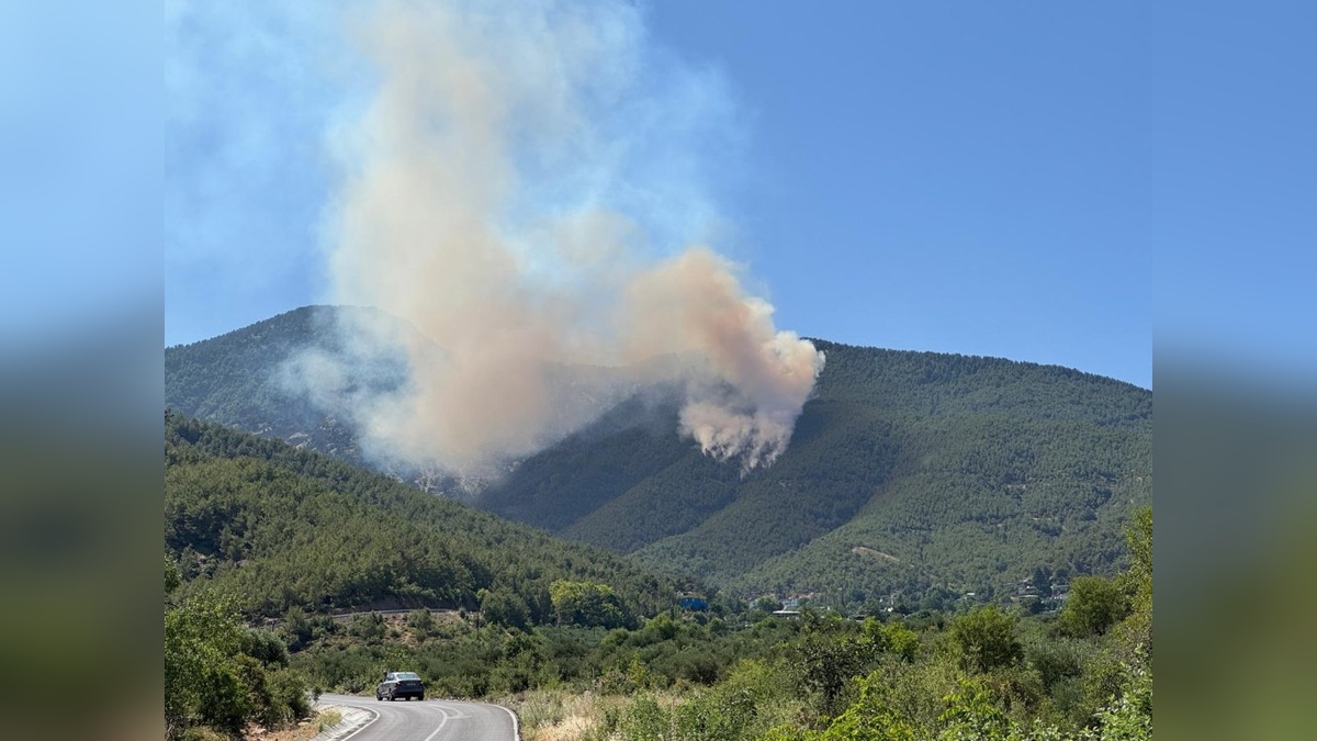 Hatay'ın Hassa ilçesinde orman yangını