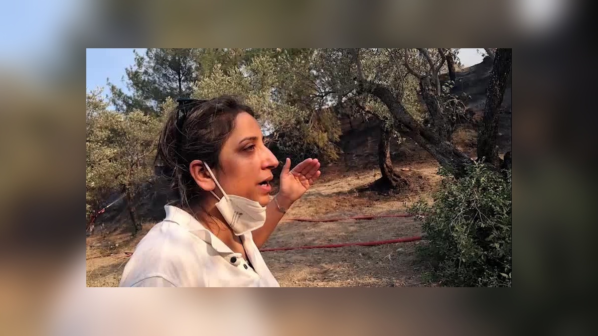 Hatay'da Depremzedelerin Zeytinlikleri Yandı: 'Önce kepçelerle zeytinleri aldılar, şimdi de yanıyor'