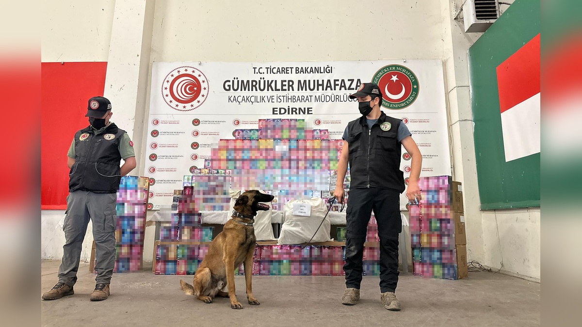 Kapıkule'de büyük operasyon: 29 kilo esrar ve 20 bin elektronik sigara ele geçirildi