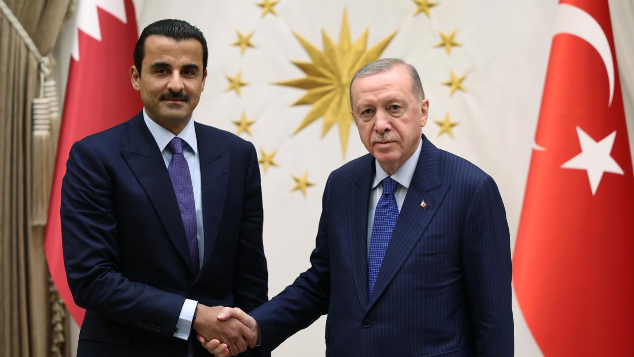 al-sani-ve-erdoganaa-2371980.jpg