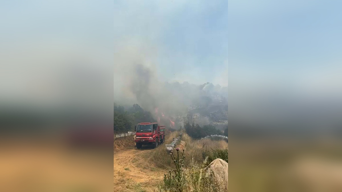 Karesi'nde orman yangını