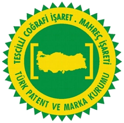 Patent
