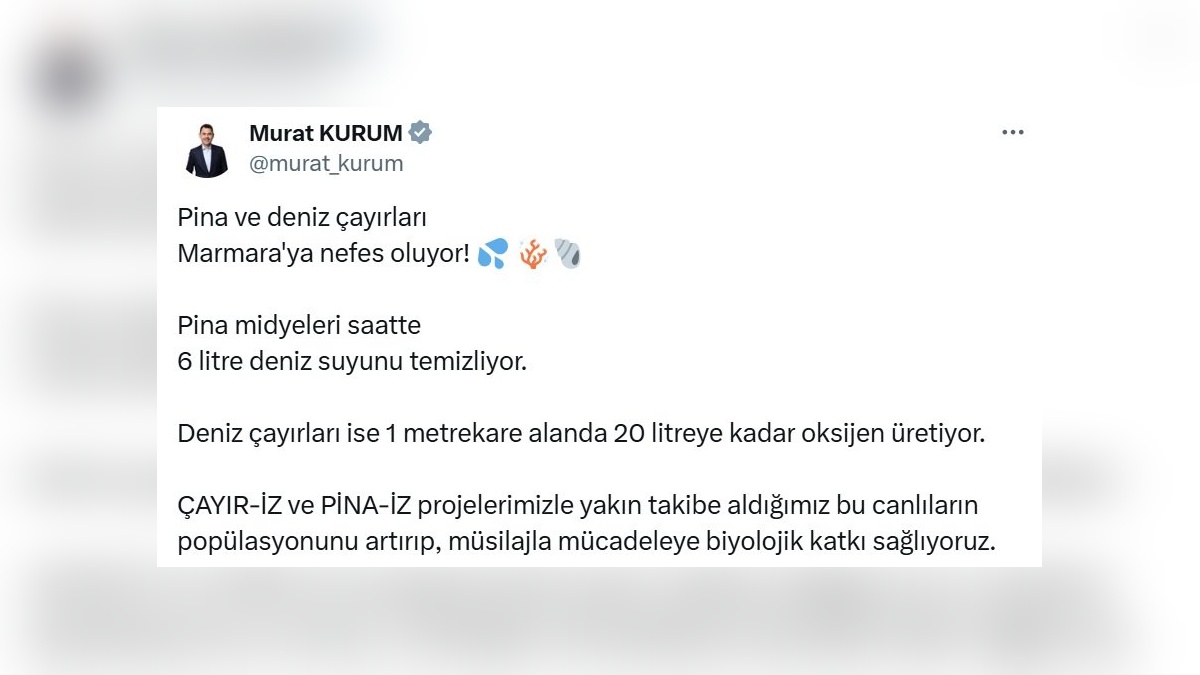 Murat Kurum: ÇAYIR-İZ ve PİNA-İZ projeleriyle Marmara Denizi'ne nefes oluyoruz