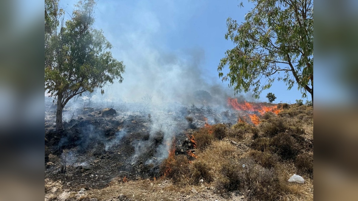 Bodrum'da maki yangını: Havadan ve karadan müdahale sürüyor