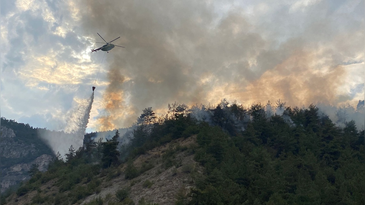 Karabük'te orman yangını 3 saatte kontrol altına alındı