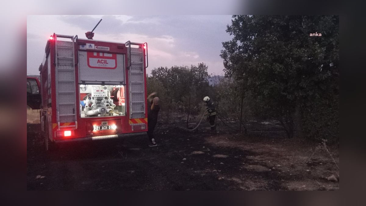 Diyarbakır'ın Lice ilçesinde orman yangını: 35 hektarlık alan zarar gördü