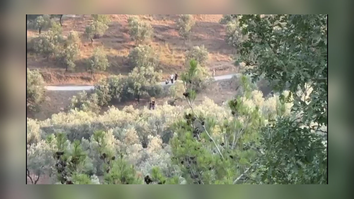 Hasan İmamoğlu: Suç yok, suç yaratmaya çalışıyorlar