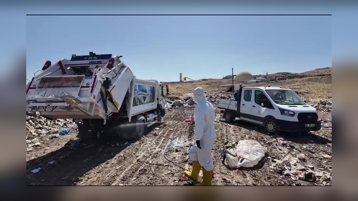 Adıyaman'da karasinek mücadelesi sürüyor