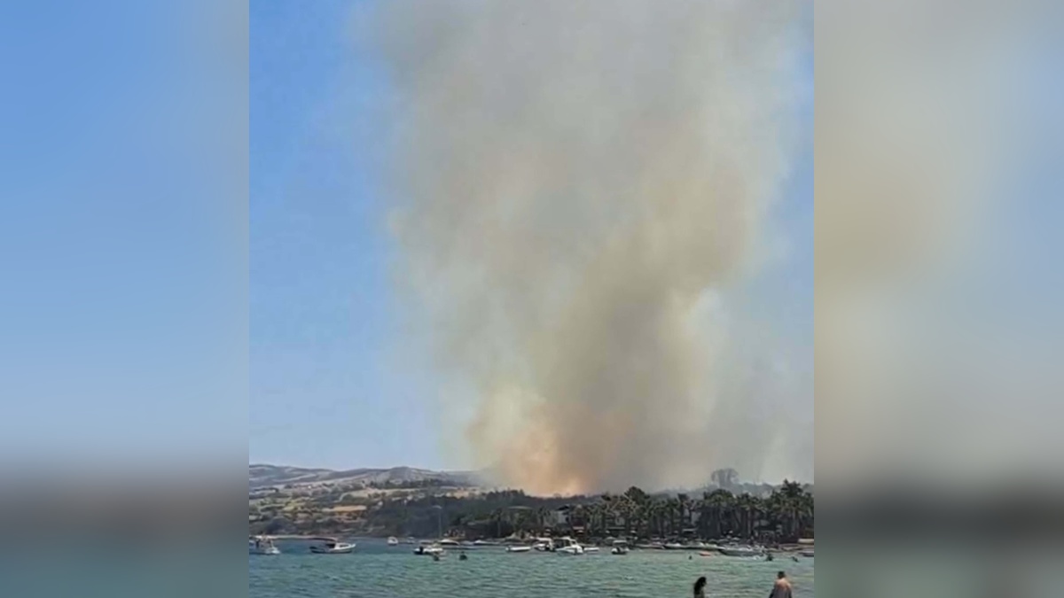 Gelibolu'da tarım arazisi yangını