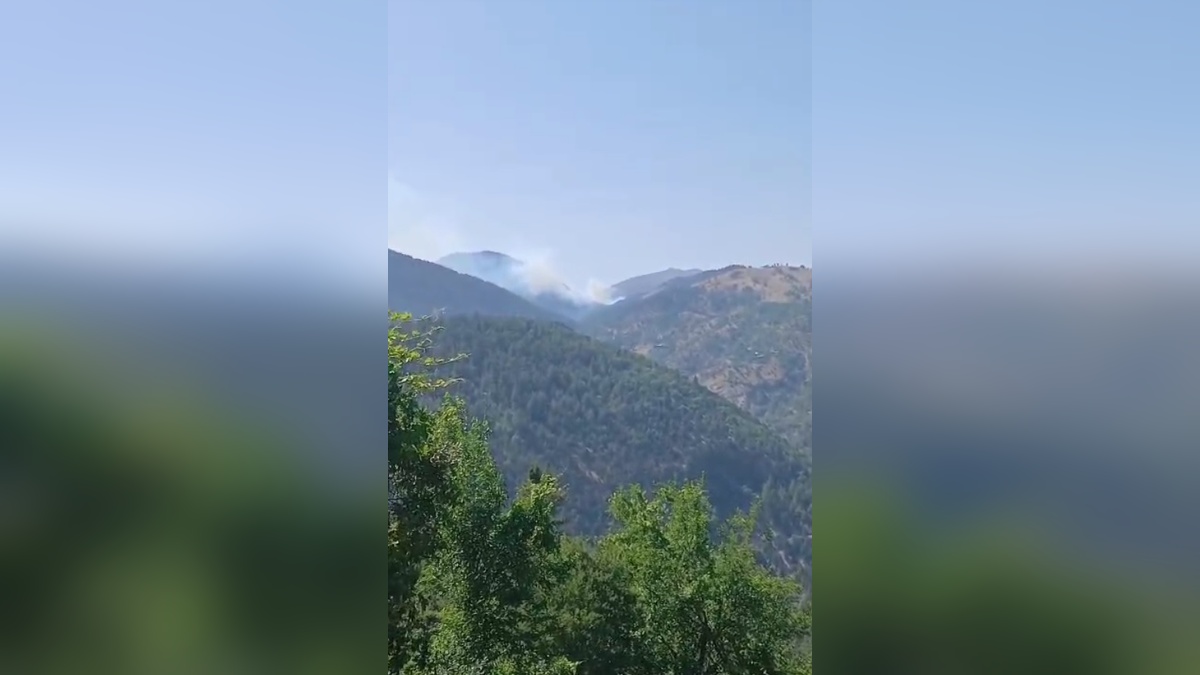 Feke'de orman yangını