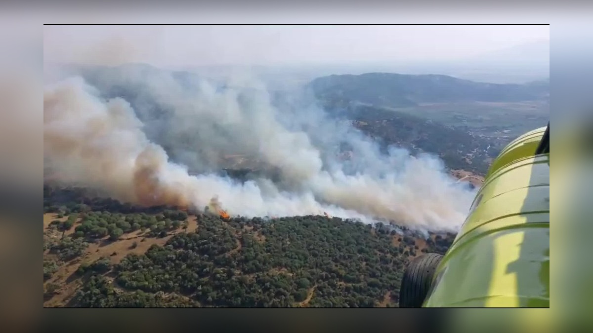 Söke'de yangın: Havadan ve karadan müdahale sürüyor