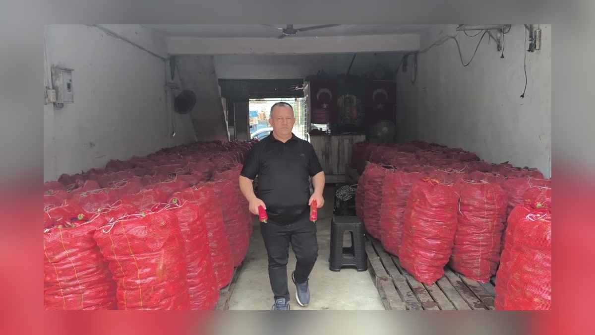 Osmaniye'de salçalık biber sezonu başladı: Fiyatlar yükseldi, ekim azaldı