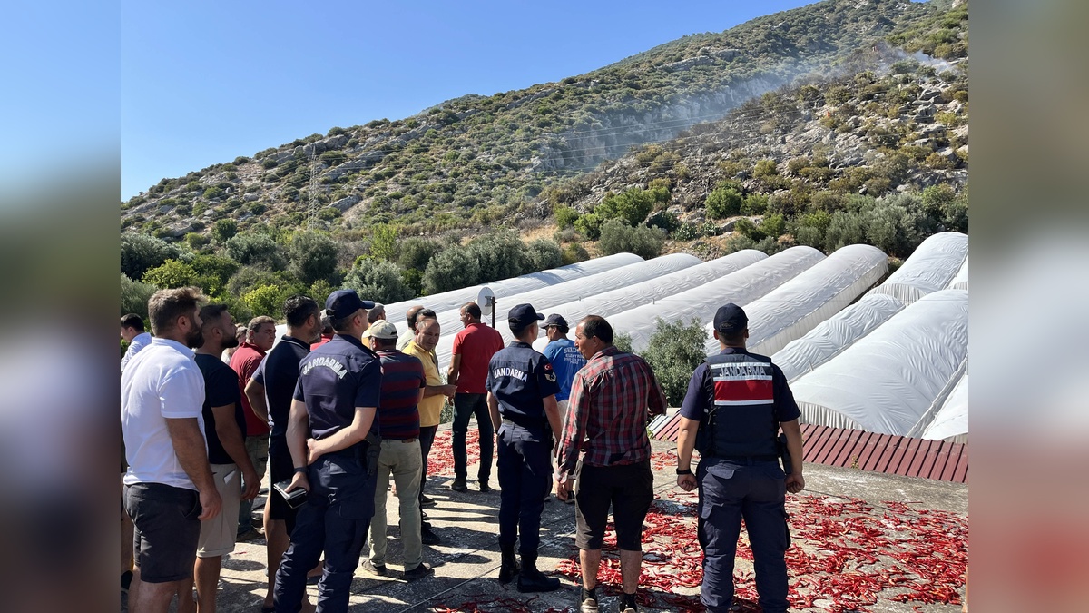 Finike'de orman yangını kontrol altına alındı