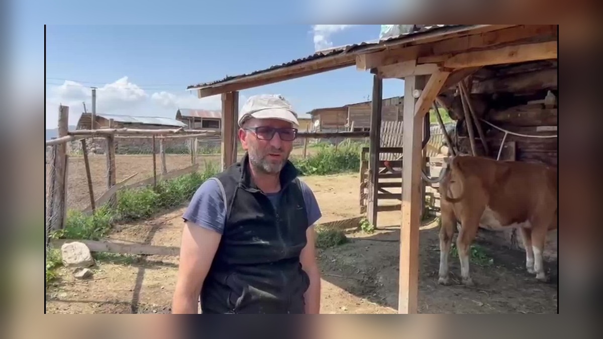 Arsiyan Yaylası'nda şap salgını: Üreticiler ilaç ve yem sıkıntısı çekiyor