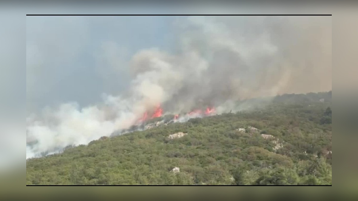 Manisa'da orman yangını: Kozanlı Mahallesi tahliye edildi