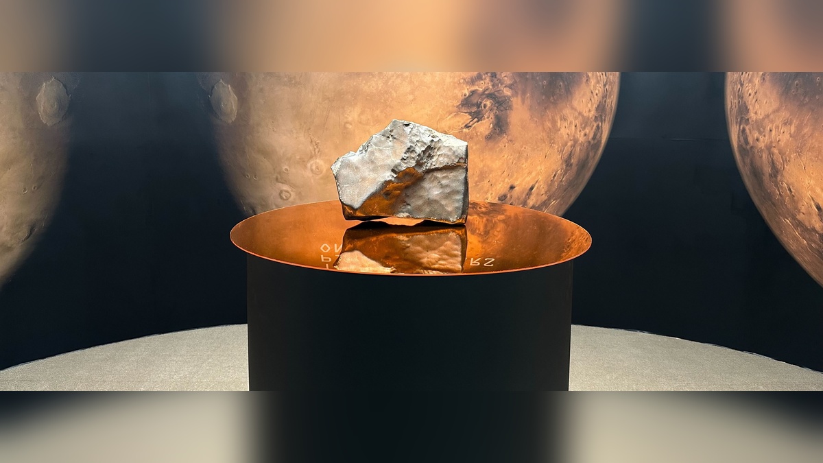 Mars'tan düşen en büyük gök taşı 5,3 milyon dolara satıldı