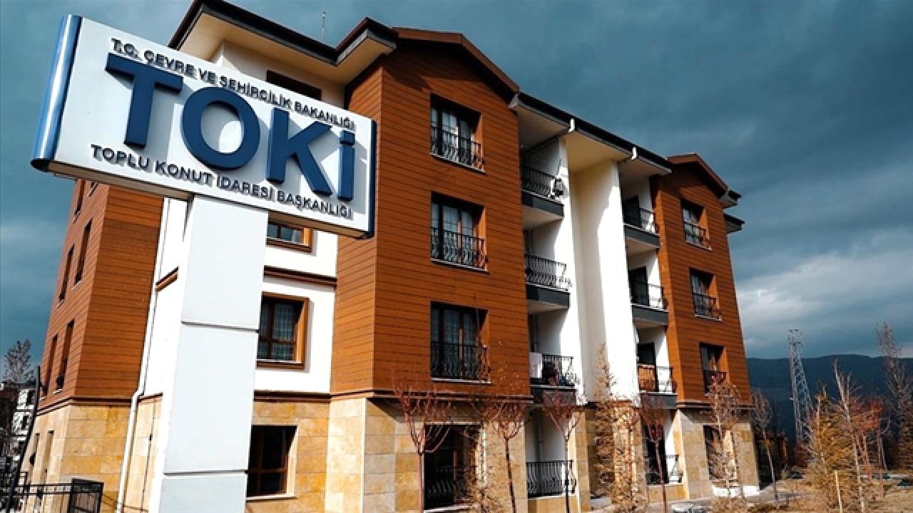toki-2009540.jpg